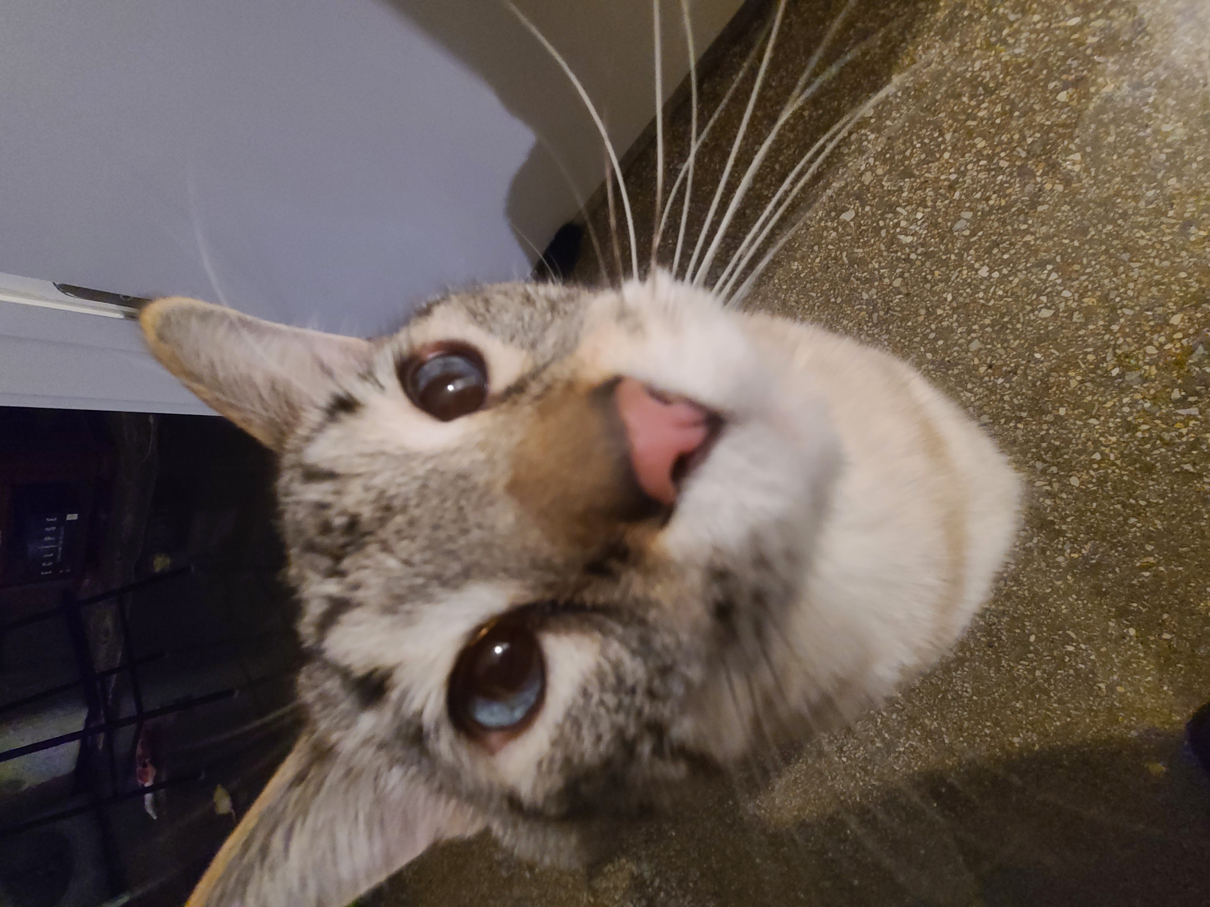 What is it you see in these eyes